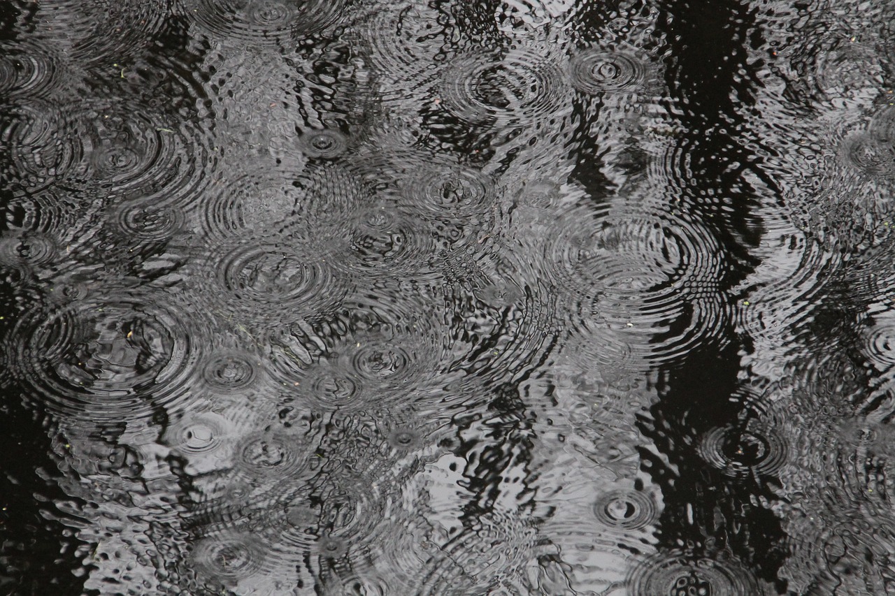 water, rain, drop of water-975974.jpg