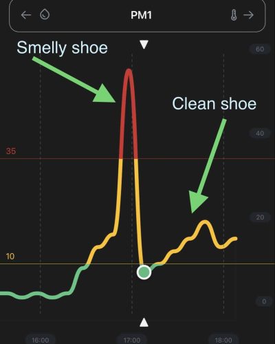 Air Purifier Bag Impact on odor